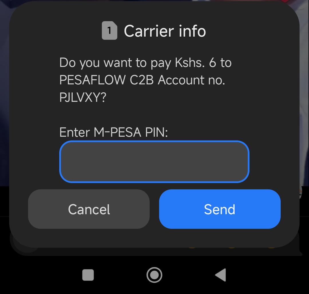 STK push prompt